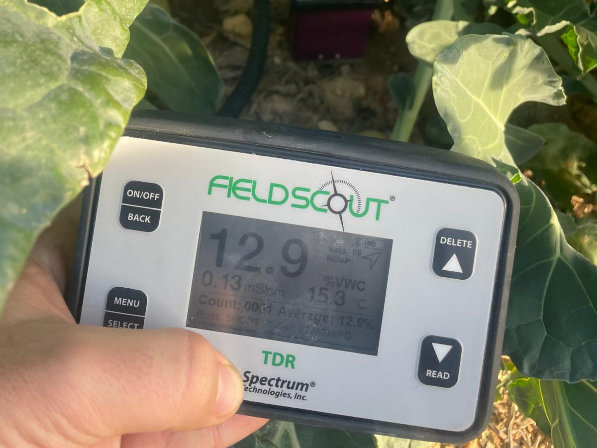 Tiloom - Soluções avançadas para uma agricultura de alta tecnologia - imagem 12 editada