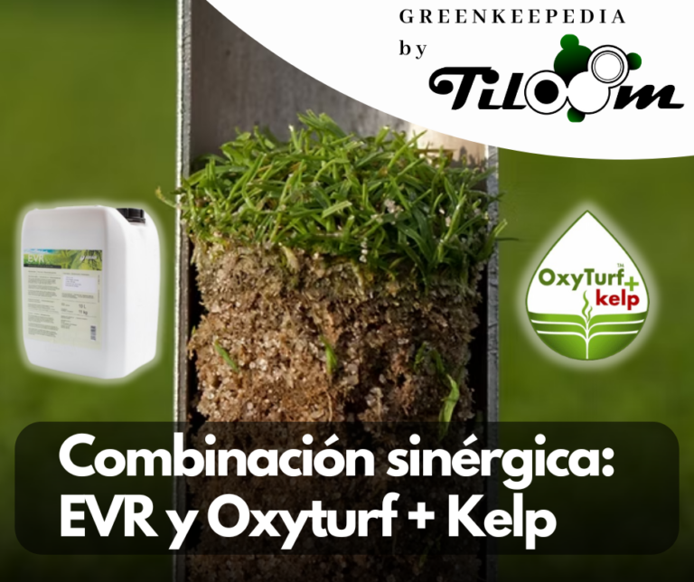 Tiloom - Combinación sinérgica de EVR y Oxyturf + Kelp - TruFirm 1
