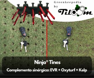Tiloom - Micropunti Ninja® Tines - TruFirm 5