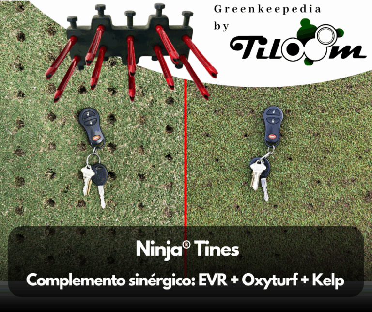 Tiloom - Micropinchados Ninja® Tines - TruFirm 5