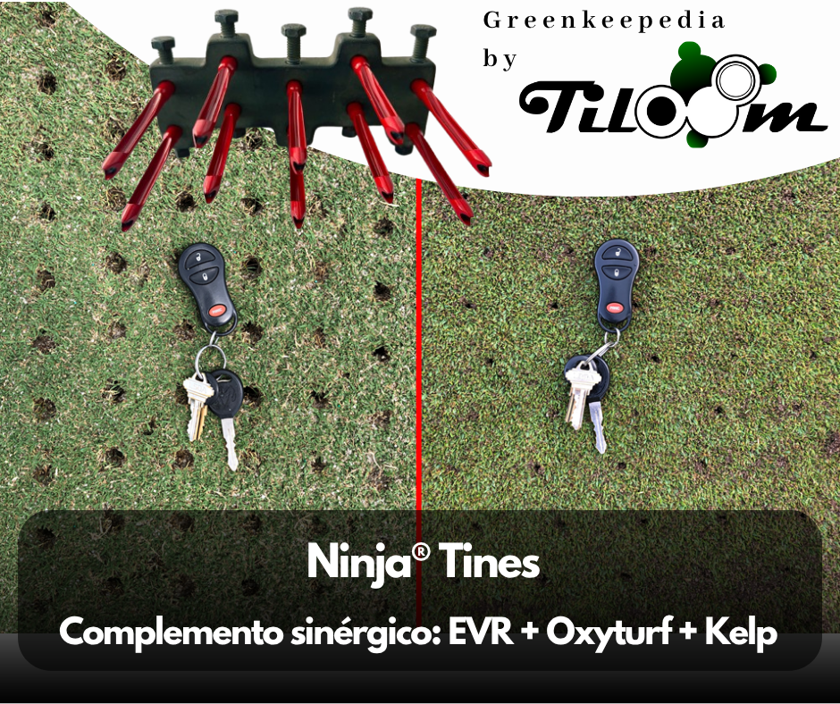 Tiloom - Dentes com microperfurações Ninja® - TruFirm 5