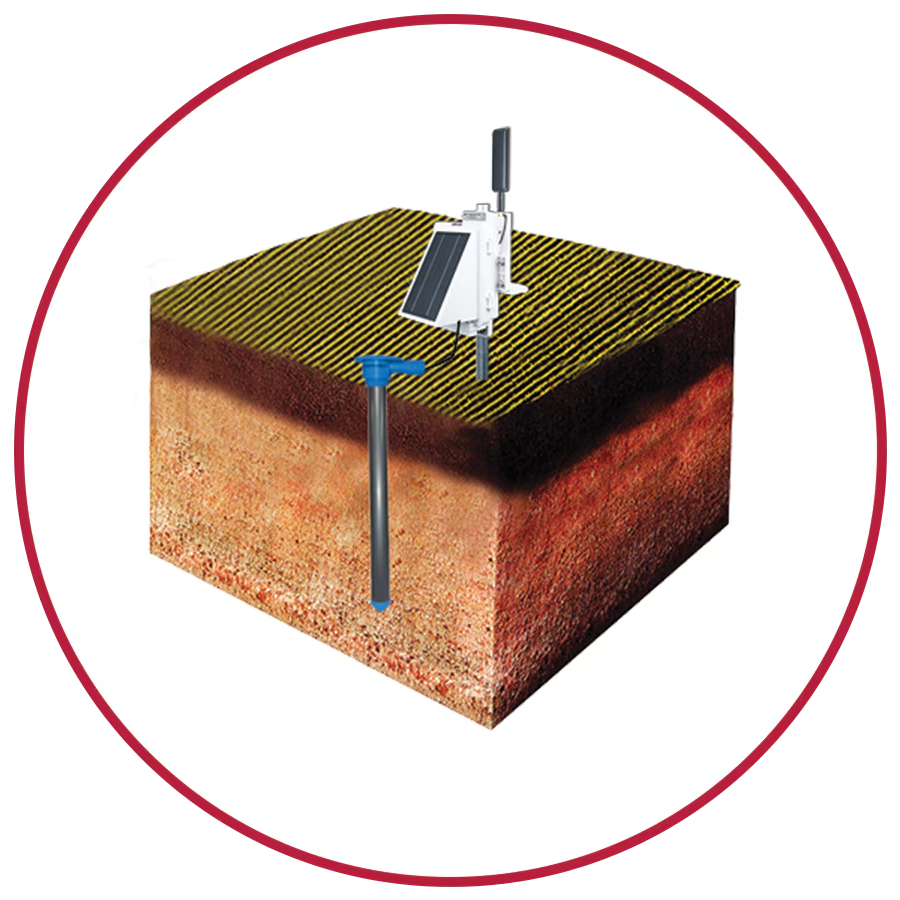 Tiloom - Perfil de humidade no cultivo do melão - imagem 8 Tiloom - Perfil de humidade no cultivo do melão - imagem 8