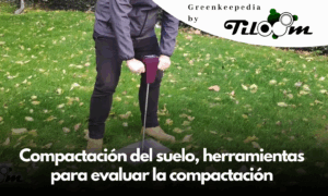 Tiloom - Compactación del suelo: clave para un césped sano y sostenible - Ensayo de los productos Try Equal Plus y EVR en cultivo de Melon Amarillo 1