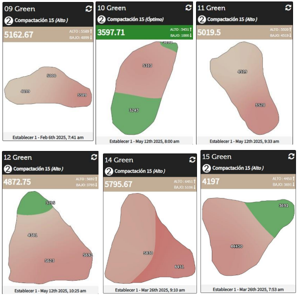 Tiloom - Compattazione del terreno: la chiave per un prato sano e sostenibile - immagine 2 Tiloom - Compattazione del terreno: la chiave per un prato sano e sostenibile - immagine 2