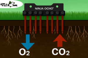 Tiloom - Micropinchados y beneficios de las Ninja® Tines - Diseno sin titulo 1