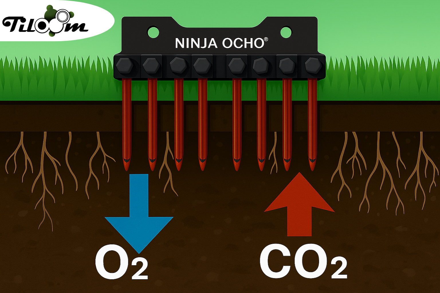Tiloom - Micropinchados y beneficios de las Ninja® Tines - Diseno sin titulo 1