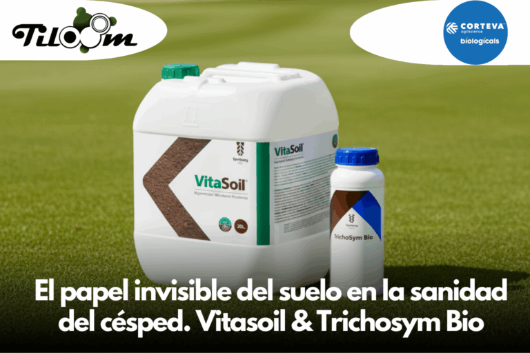 Tiloom - El papel invisible del suelo en la sanidad del césped: equilibrio biológico y soluciones biológicas innovadoras (1/2) - El papel invisible del suelo en la sanidad del cesped