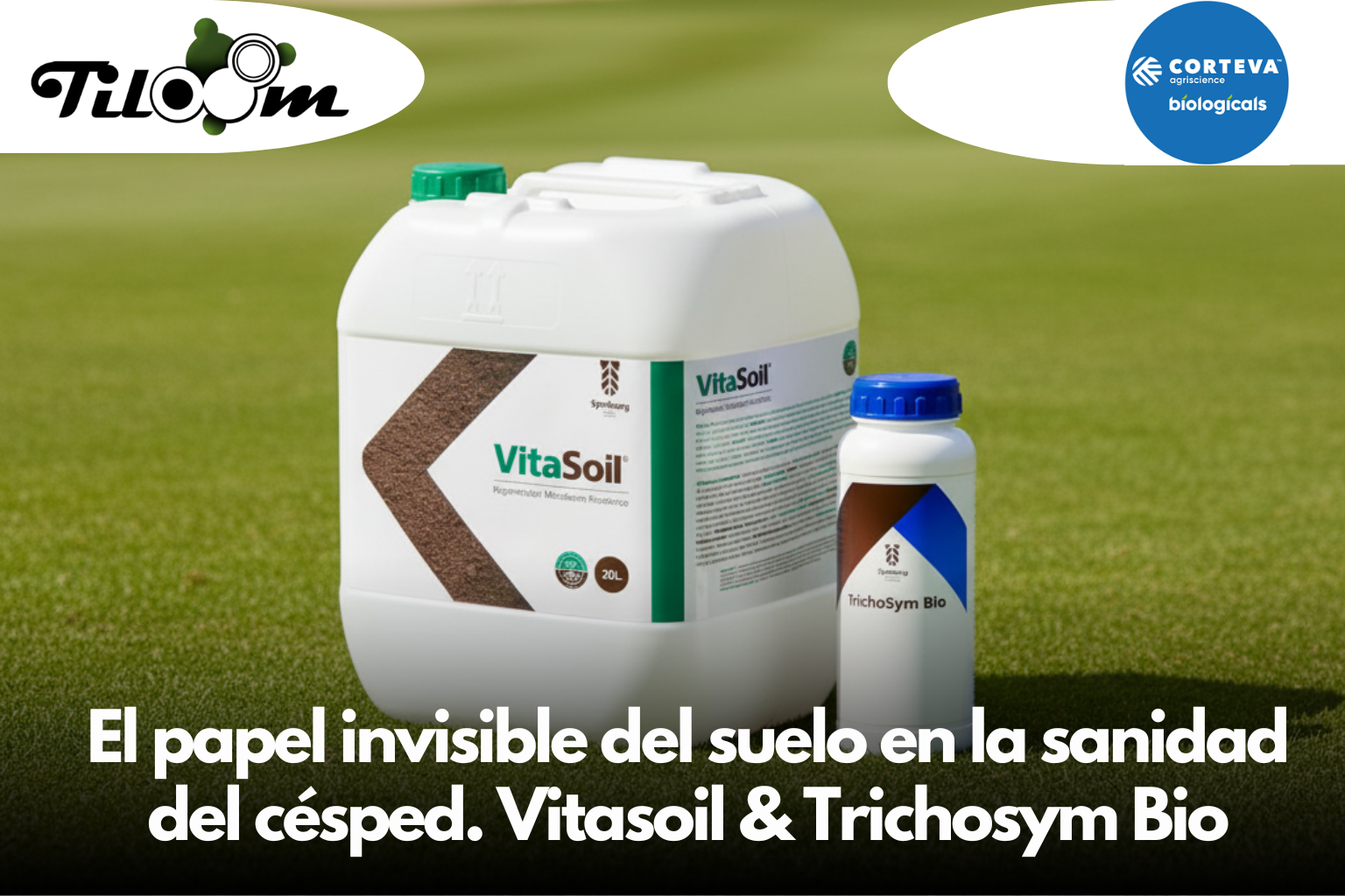 Tiloom - O papel invisível do solo na saúde do relvado: equilíbrio biológico e soluções biológicas inovadoras (1/2) - O papel invisível do solo na saúde do relvado