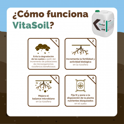 Tiloom - O papel invisível do solo na saúde do relvado: equilíbrio biológico e soluções biológicas inovadoras (1/2) - imagem 16