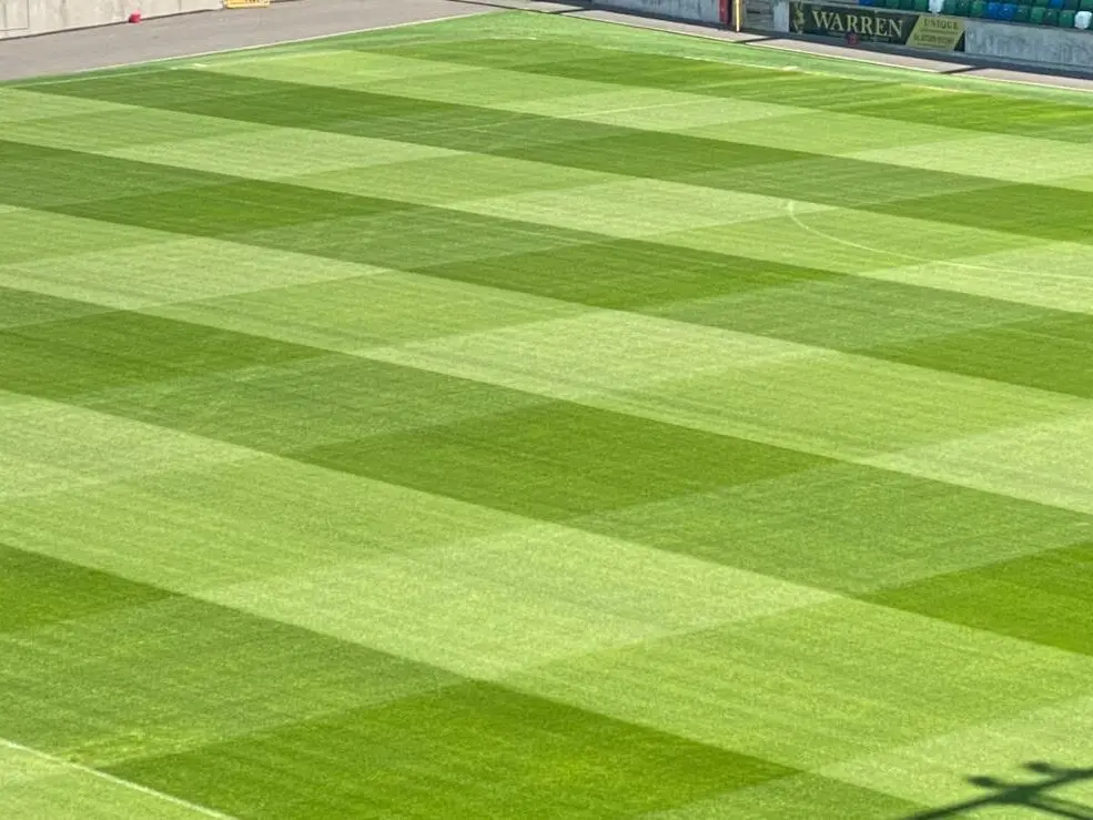 Tiloom - Gestão do relvado em condições de compactação e sombra: Evidência técnica da utilização do OxyTurf - 545628857 755088774008104 1035383219521189971 n editado
