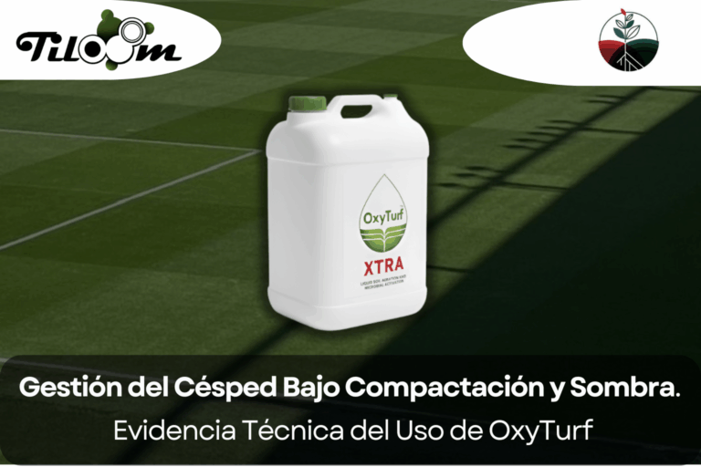 Tiloom - Gestión del Césped Bajo Condiciones de Compactación y Sombra: Evidencia Técnica del Uso de OxyTurf - El papel invisible del suelo en la sanidad del cesped 6