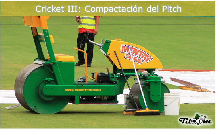 rolo de relva no campo de críquete