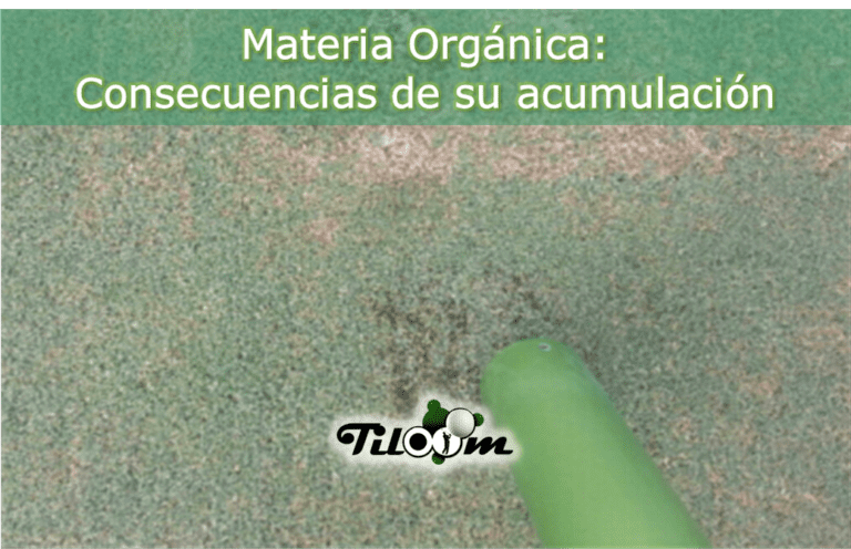 Acumulación materia orgánica