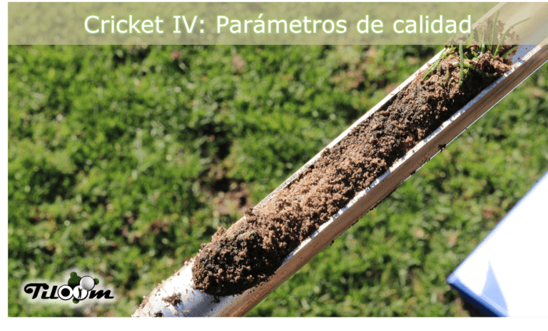 A qualidade dos campos de críquete
