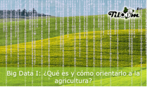 Big data agricultura