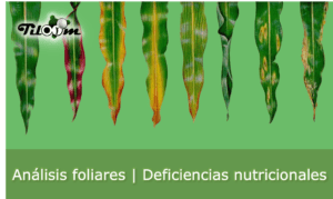 Nutritional deficiencies