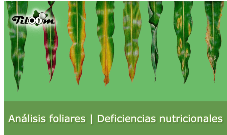 Deficiências nutricionais