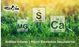 Secondary macro-elements