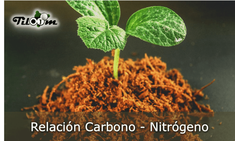 Portada Relación carbono nitrógeno