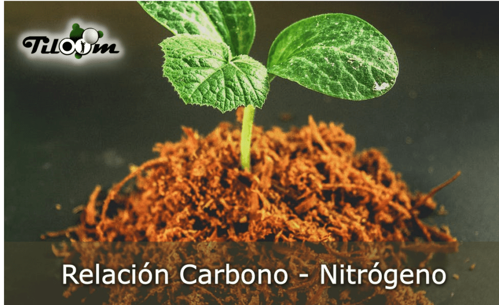 Portada Relación carbono nitrógeno