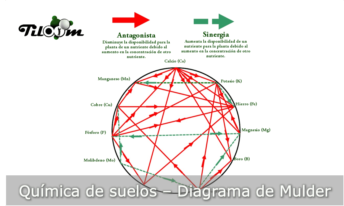 Diagrama de Mulder