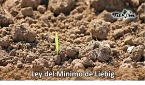 Página de rosto da entrada do blogue Lei do Mínimo de Liebig