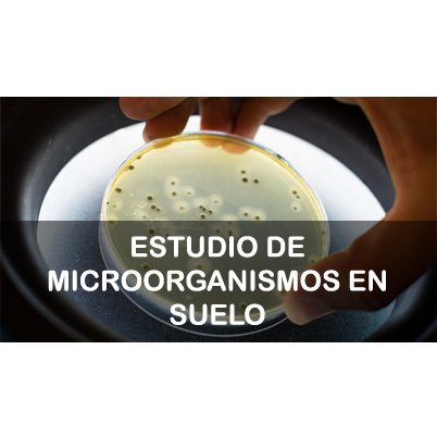 Microbiological analysis