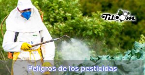 Portada de la entrada de blog Peligros de los pesticidas