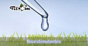 Capa da entrada do blogue Bioestimulantes